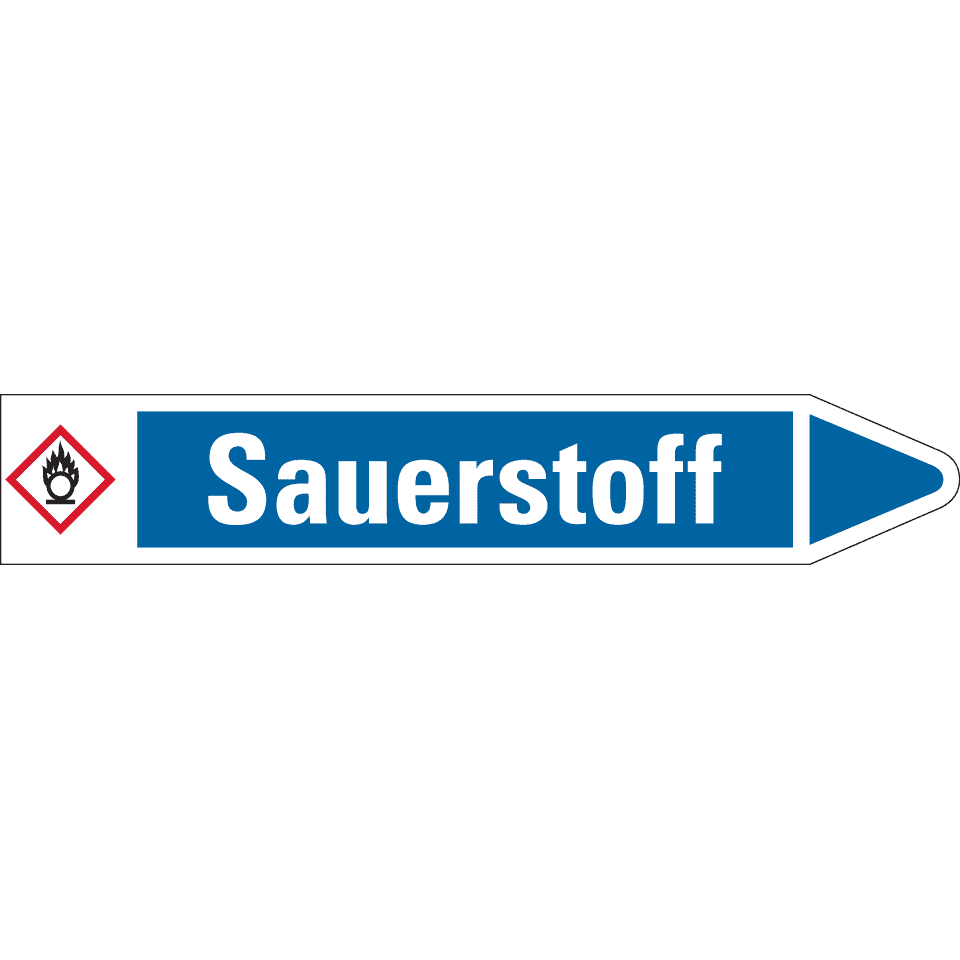 Zoom Bild