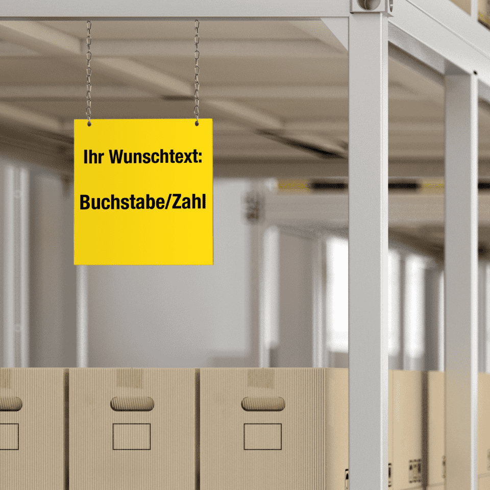 Zoom Bild