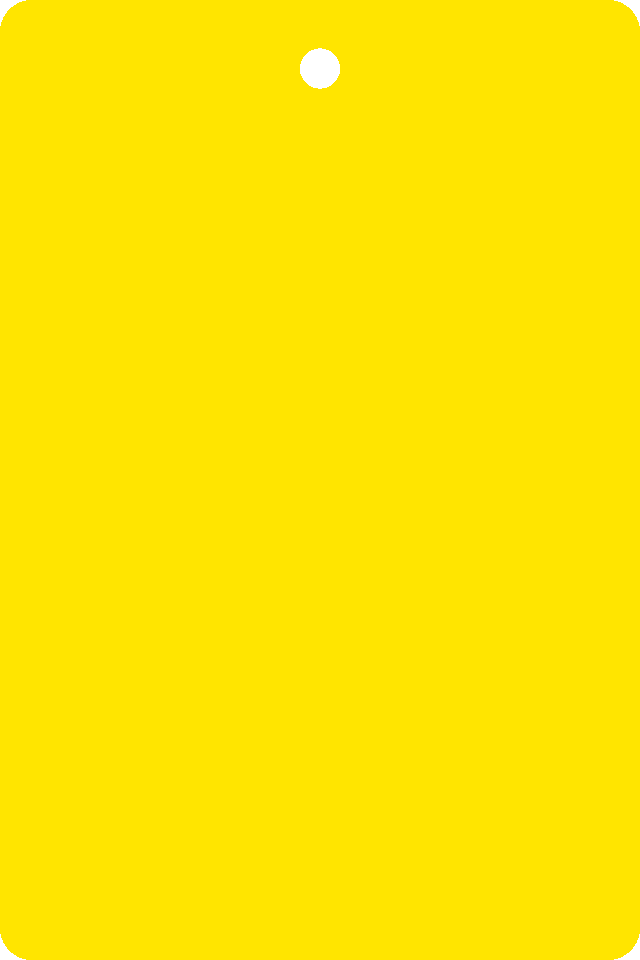 Zoom Bild