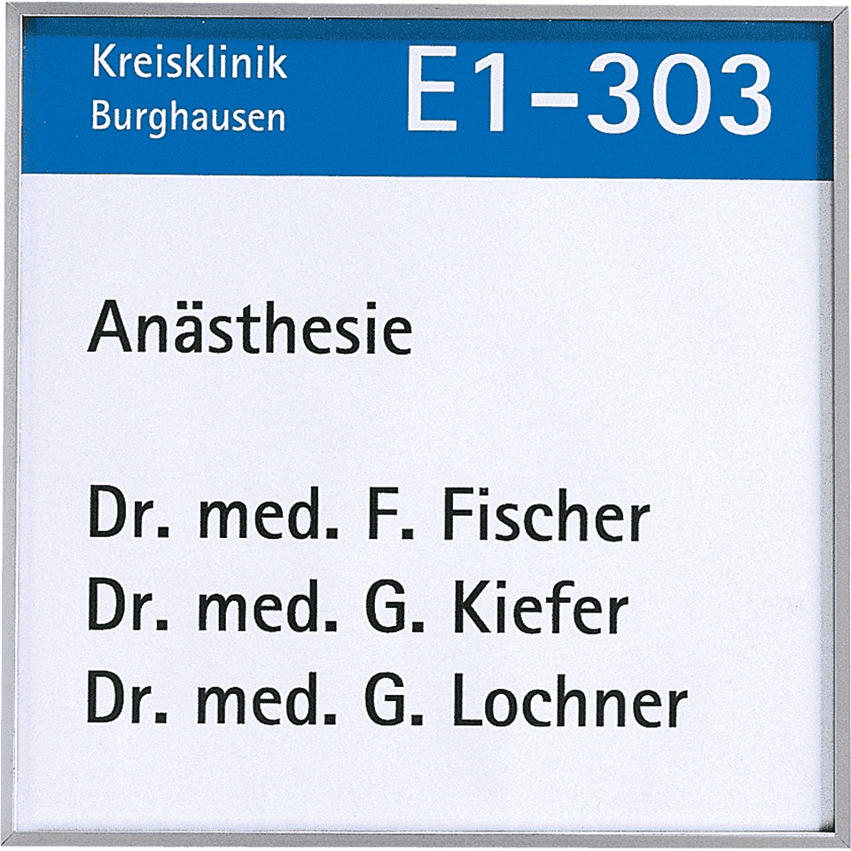 Zoom Bild