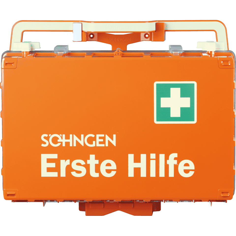 Zoom Bild