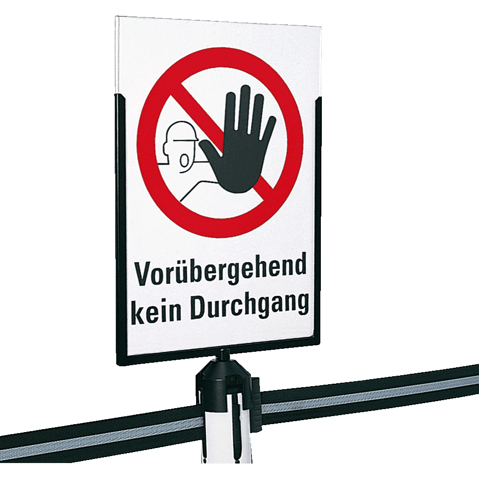 Zoom Bild