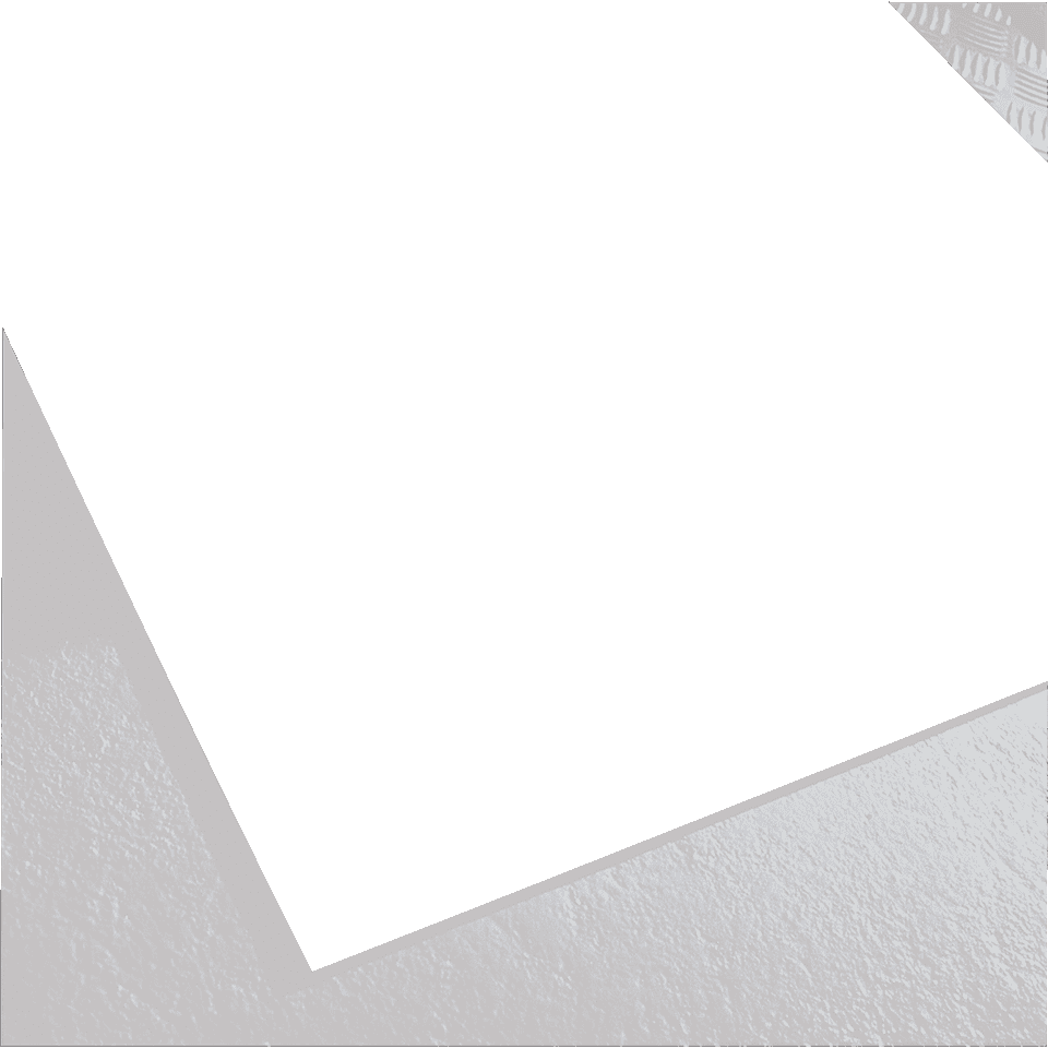 Zoom Bild