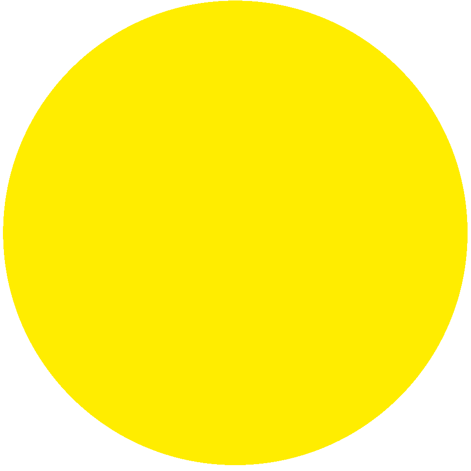 Zoom Bild