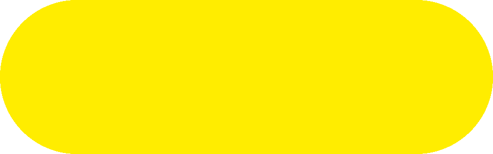 Zoom Bild