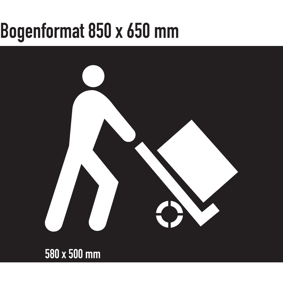 Zoom Bild