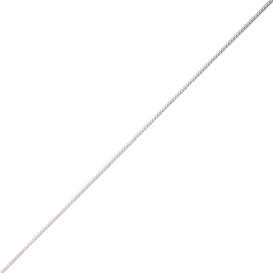 Zoom Bild
