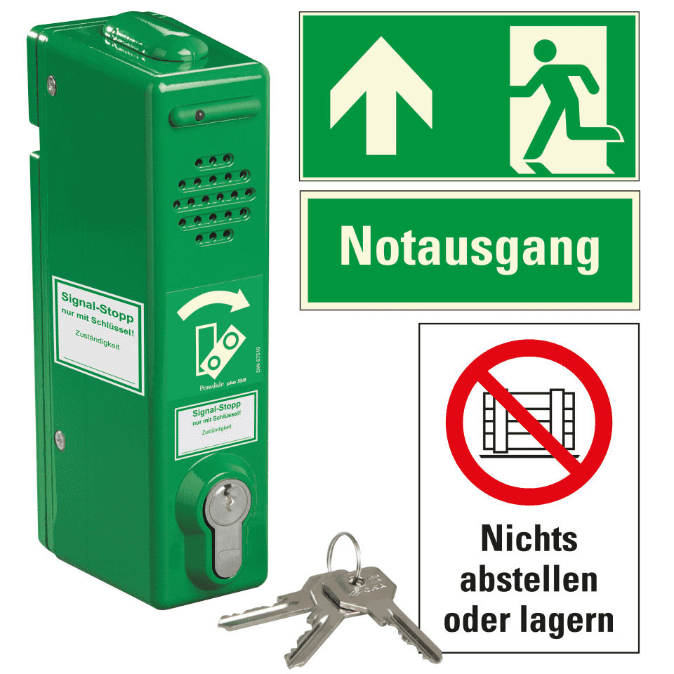 Zoom Bild
